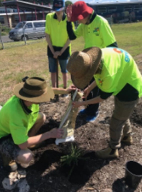 /uploaded_files/media/gallery/1686855311Market garden planting.png